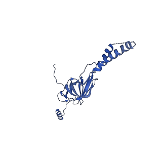 22081_6x6s_JY_v1-1
Cryo-EM Structure of the Helicobacter pylori OMC