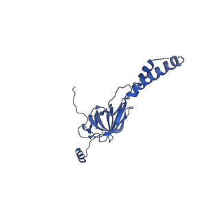 22081_6x6s_JY_v1-2
Cryo-EM Structure of the Helicobacter pylori OMC