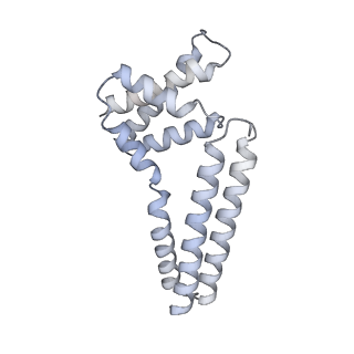 22081_6x6s_Jm_v1-1
Cryo-EM Structure of the Helicobacter pylori OMC