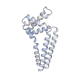 22081_6x6s_Jm_v1-2
Cryo-EM Structure of the Helicobacter pylori OMC