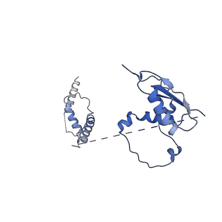 22081_6x6s_Jt_v1-1
Cryo-EM Structure of the Helicobacter pylori OMC