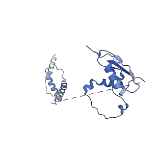 22081_6x6s_Jt_v1-2
Cryo-EM Structure of the Helicobacter pylori OMC