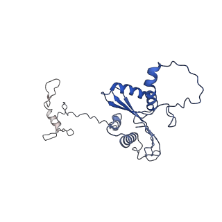 22081_6x6s_KA_v1-1
Cryo-EM Structure of the Helicobacter pylori OMC