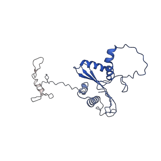 22081_6x6s_KA_v1-2
Cryo-EM Structure of the Helicobacter pylori OMC