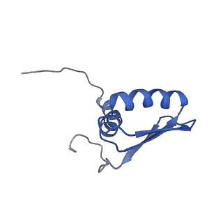 22081_6x6s_KB_v1-1
Cryo-EM Structure of the Helicobacter pylori OMC