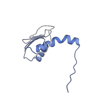 22081_6x6s_KC_v1-1
Cryo-EM Structure of the Helicobacter pylori OMC