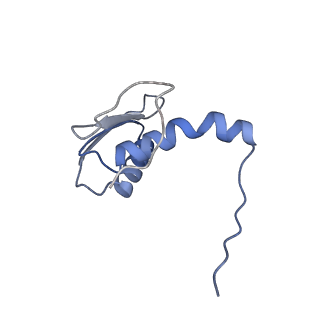 22081_6x6s_KC_v1-2
Cryo-EM Structure of the Helicobacter pylori OMC