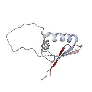 22081_6x6s_KD_v1-1
Cryo-EM Structure of the Helicobacter pylori OMC