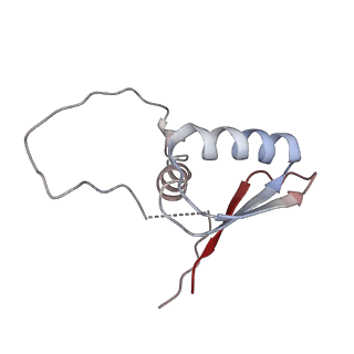 22081_6x6s_KD_v1-2
Cryo-EM Structure of the Helicobacter pylori OMC