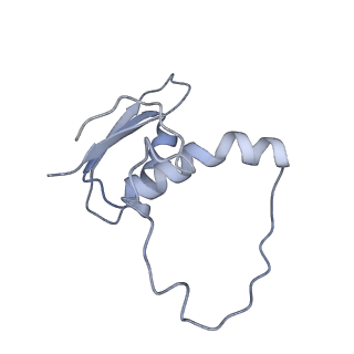 22081_6x6s_KE_v1-1
Cryo-EM Structure of the Helicobacter pylori OMC