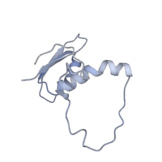 22081_6x6s_KE_v1-2
Cryo-EM Structure of the Helicobacter pylori OMC