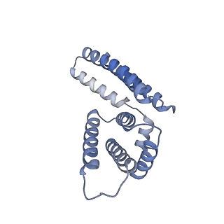 22081_6x6s_KM_v1-1
Cryo-EM Structure of the Helicobacter pylori OMC