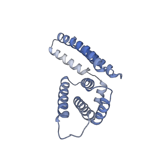 22081_6x6s_KM_v1-2
Cryo-EM Structure of the Helicobacter pylori OMC