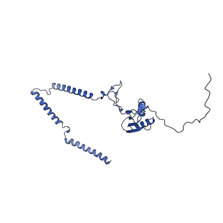 22081_6x6s_KT_v1-1
Cryo-EM Structure of the Helicobacter pylori OMC