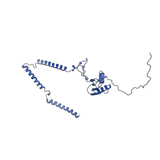 22081_6x6s_KT_v1-2
Cryo-EM Structure of the Helicobacter pylori OMC