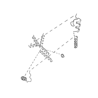 22081_6x6s_KU_v1-2
Cryo-EM Structure of the Helicobacter pylori OMC