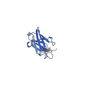 22081_6x6s_KX_v1-1
Cryo-EM Structure of the Helicobacter pylori OMC