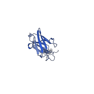 22081_6x6s_KX_v1-2
Cryo-EM Structure of the Helicobacter pylori OMC