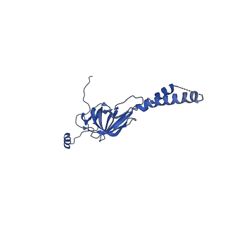22081_6x6s_KY_v1-1
Cryo-EM Structure of the Helicobacter pylori OMC