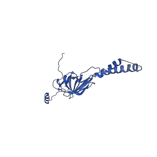 22081_6x6s_KY_v1-2
Cryo-EM Structure of the Helicobacter pylori OMC