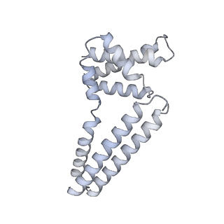 22081_6x6s_Km_v1-1
Cryo-EM Structure of the Helicobacter pylori OMC