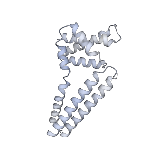 22081_6x6s_Km_v1-2
Cryo-EM Structure of the Helicobacter pylori OMC