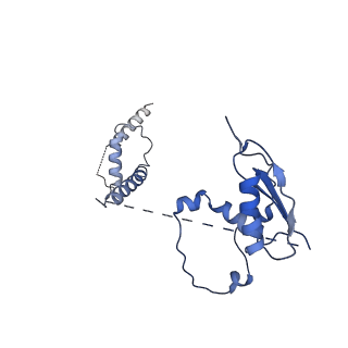22081_6x6s_Kt_v1-1
Cryo-EM Structure of the Helicobacter pylori OMC