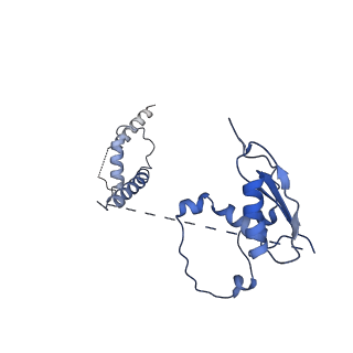 22081_6x6s_Kt_v1-2
Cryo-EM Structure of the Helicobacter pylori OMC