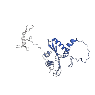 22081_6x6s_LA_v1-1
Cryo-EM Structure of the Helicobacter pylori OMC