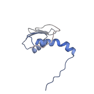 22081_6x6s_LC_v1-1
Cryo-EM Structure of the Helicobacter pylori OMC
