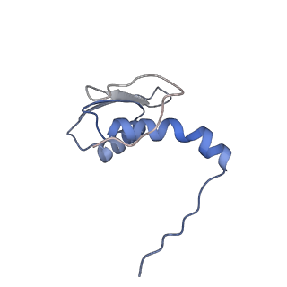 22081_6x6s_LC_v1-2
Cryo-EM Structure of the Helicobacter pylori OMC