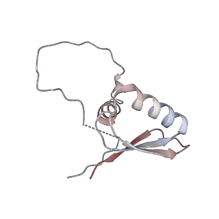 22081_6x6s_LD_v1-1
Cryo-EM Structure of the Helicobacter pylori OMC