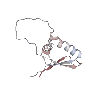 22081_6x6s_LD_v1-2
Cryo-EM Structure of the Helicobacter pylori OMC