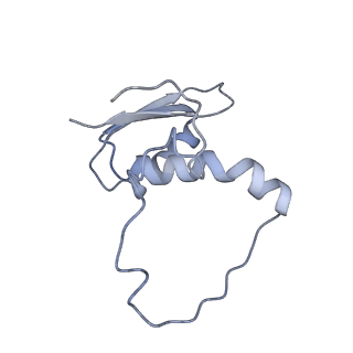 22081_6x6s_LE_v1-1
Cryo-EM Structure of the Helicobacter pylori OMC