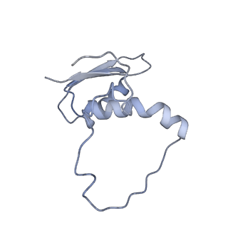 22081_6x6s_LE_v1-2
Cryo-EM Structure of the Helicobacter pylori OMC