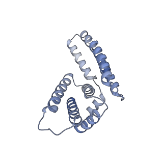 22081_6x6s_LM_v1-1
Cryo-EM Structure of the Helicobacter pylori OMC