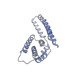 22081_6x6s_LM_v1-2
Cryo-EM Structure of the Helicobacter pylori OMC