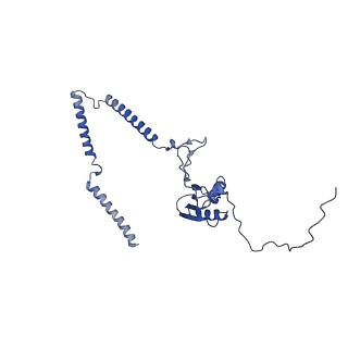 22081_6x6s_LT_v1-1
Cryo-EM Structure of the Helicobacter pylori OMC