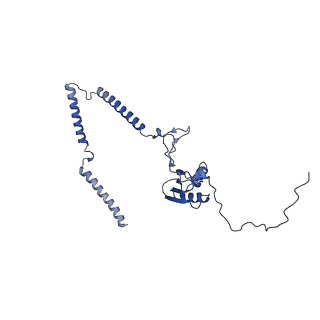 22081_6x6s_LT_v1-2
Cryo-EM Structure of the Helicobacter pylori OMC