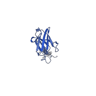 22081_6x6s_LX_v1-1
Cryo-EM Structure of the Helicobacter pylori OMC