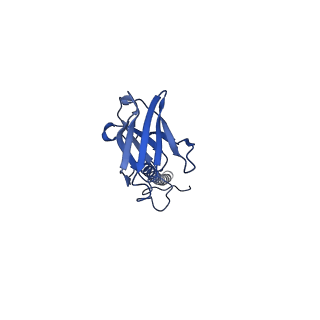 22081_6x6s_LX_v1-2
Cryo-EM Structure of the Helicobacter pylori OMC