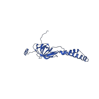 22081_6x6s_LY_v1-1
Cryo-EM Structure of the Helicobacter pylori OMC