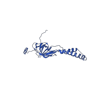 22081_6x6s_LY_v1-2
Cryo-EM Structure of the Helicobacter pylori OMC