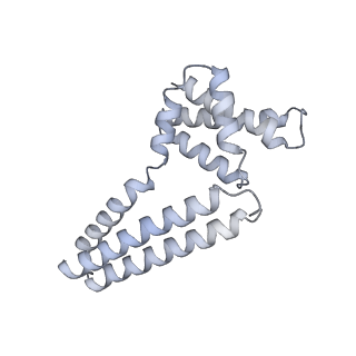 22081_6x6s_Lm_v1-1
Cryo-EM Structure of the Helicobacter pylori OMC