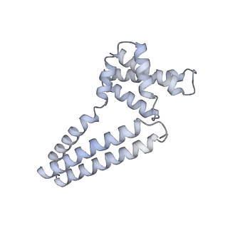 22081_6x6s_Lm_v1-2
Cryo-EM Structure of the Helicobacter pylori OMC