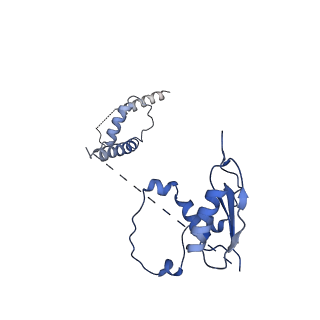 22081_6x6s_Lt_v1-1
Cryo-EM Structure of the Helicobacter pylori OMC