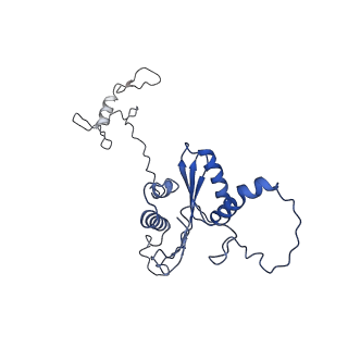 22081_6x6s_MA_v1-1
Cryo-EM Structure of the Helicobacter pylori OMC
