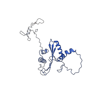 22081_6x6s_MA_v1-2
Cryo-EM Structure of the Helicobacter pylori OMC