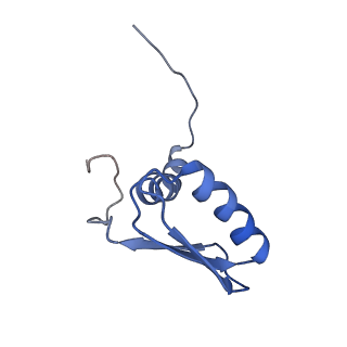 22081_6x6s_MB_v1-1
Cryo-EM Structure of the Helicobacter pylori OMC
