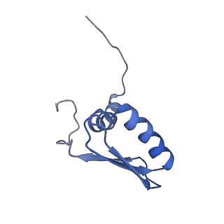 22081_6x6s_MB_v1-2
Cryo-EM Structure of the Helicobacter pylori OMC